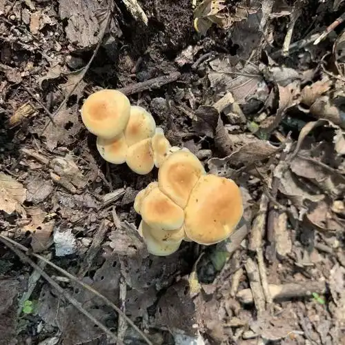 生命科学学院微生物硕士点西丰采样 - 美篇