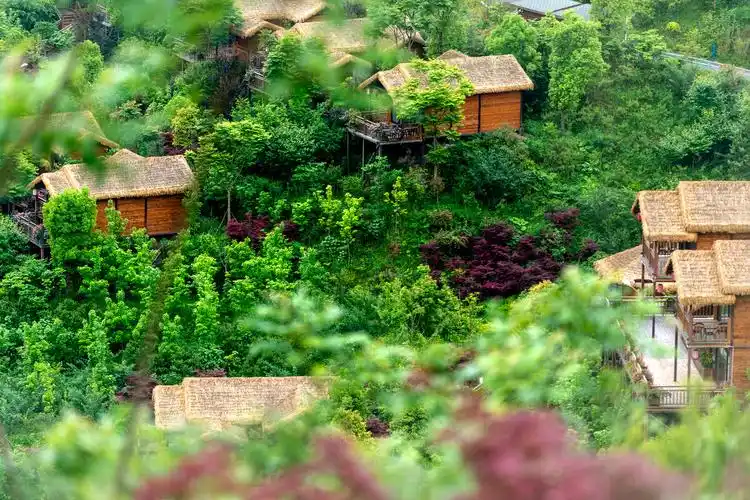 贵州遵义桐梓开元芳草地乡村酒店