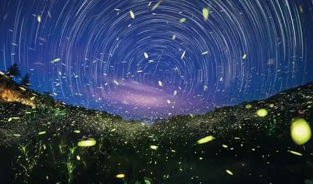 斑斓星河浪漫无限我们一起去追星吧