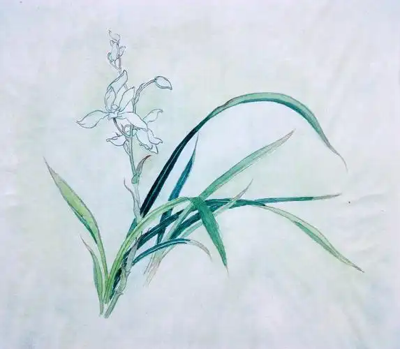 【工笔画-兰花】这张是po主自己画的