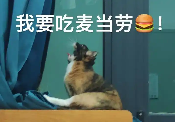 我想吃麦当劳jpg09