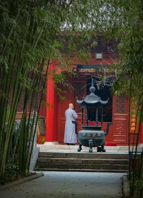 一盏青灯伴古佛的图片