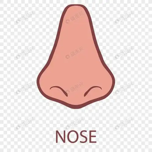 鼻子图标元素素材格式_设计素材免费下载_vrf高清图片400472006_摄图