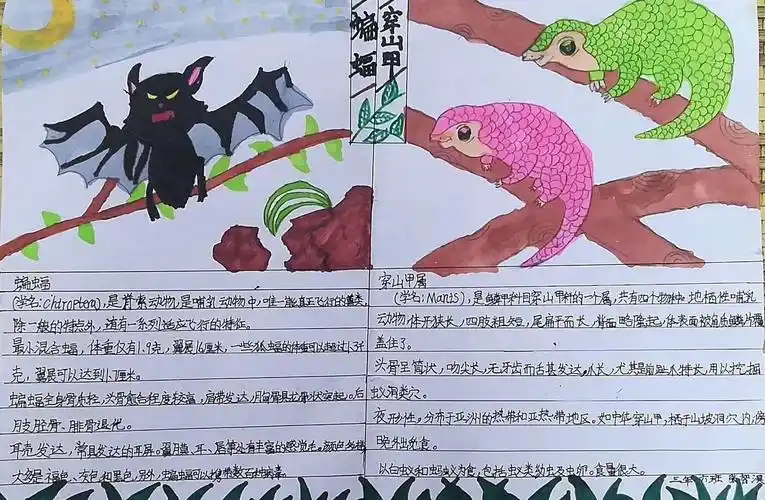 三年六班 研究性学习 动物备忘录