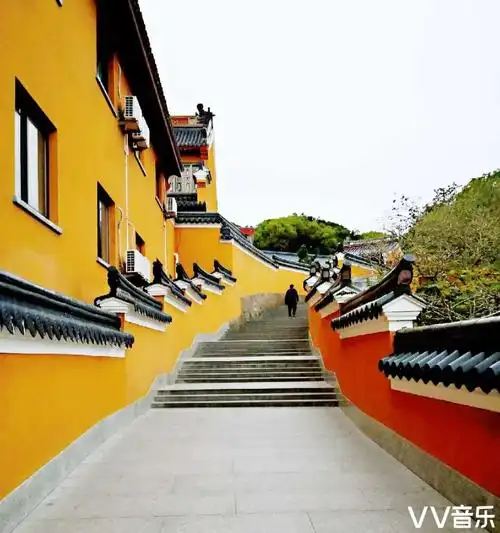 觉平【文声汇影】:普陀山紫竹林 - vv