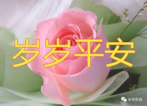 今天是平安吉祥日一首祝你平安送给你打开一生平安