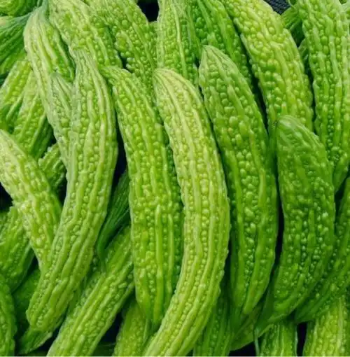 苦瓜1.38元一斤