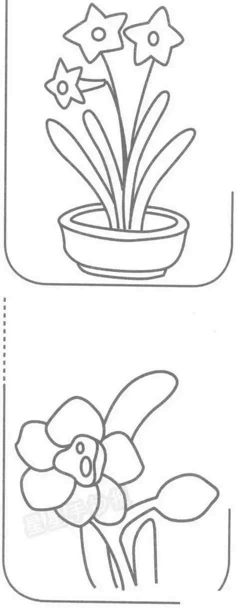 水仙花简笔画简单画法水仙花简笔画 水仙花简笔画步骤水仙花的简笔画