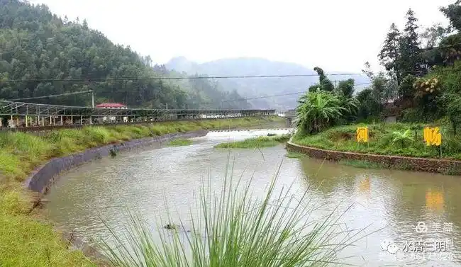 大田大石村小河道大治理改善大环境