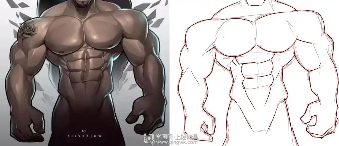 rh-9-126魔法少女金皮卡 临摹男性肌肉—角色人物肌肉绘画训练