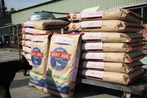 马妈妈狗园每月至少需消耗300包饲料,协会拟定按月捐赠营养价值较高的