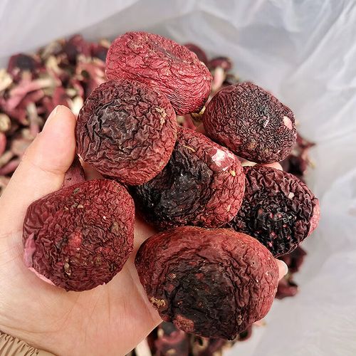 云南特产正红菇大红菇香甜红菇月子菇红蘑菇干货煲汤食材 250g 中标菇