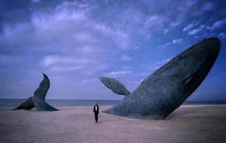 世界上最孤独的鲸鱼