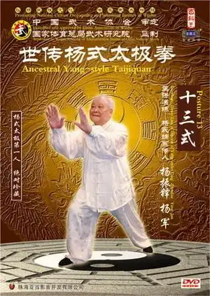 原装正版 杨振铎 世传杨式太极拳-十三式 1dvd 中英字幕
