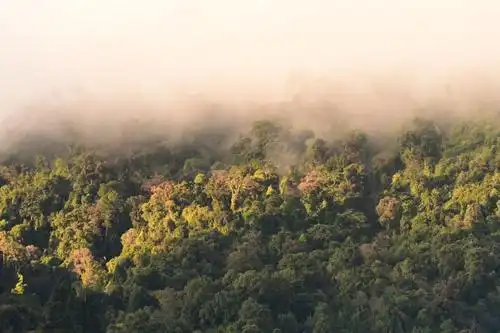 德宏林草系统工作会议顺利召开