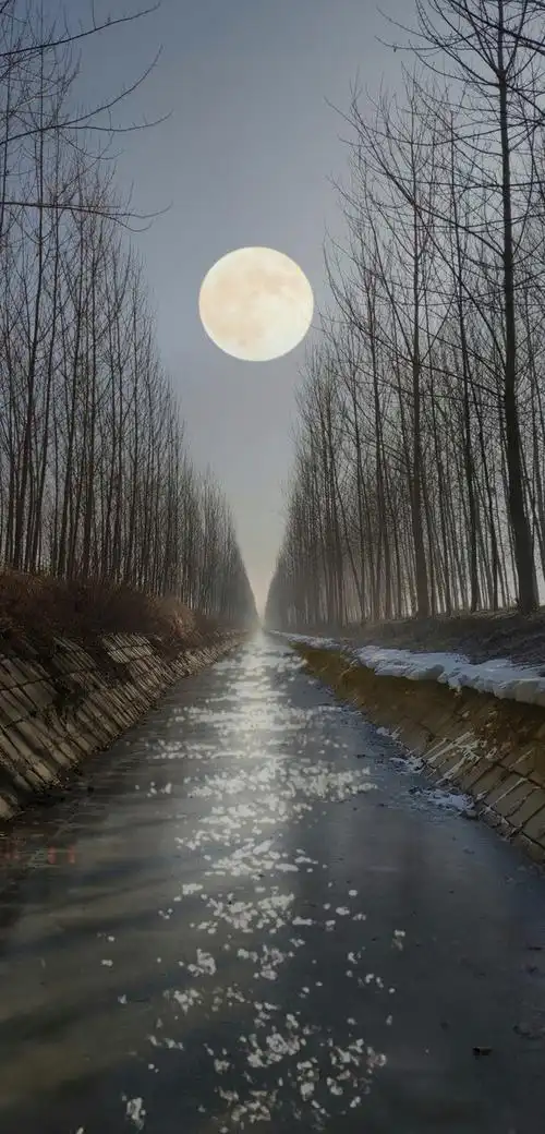 正月十五的月亮