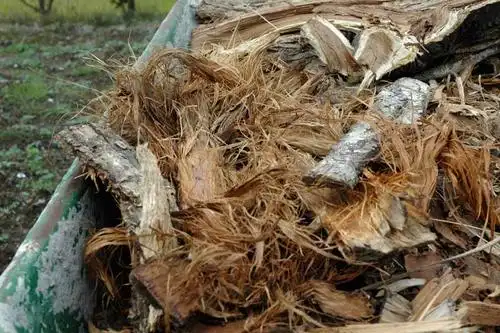 燃料はこれ.薪割りで出た木屑や木の皮を乾燥させたもの.