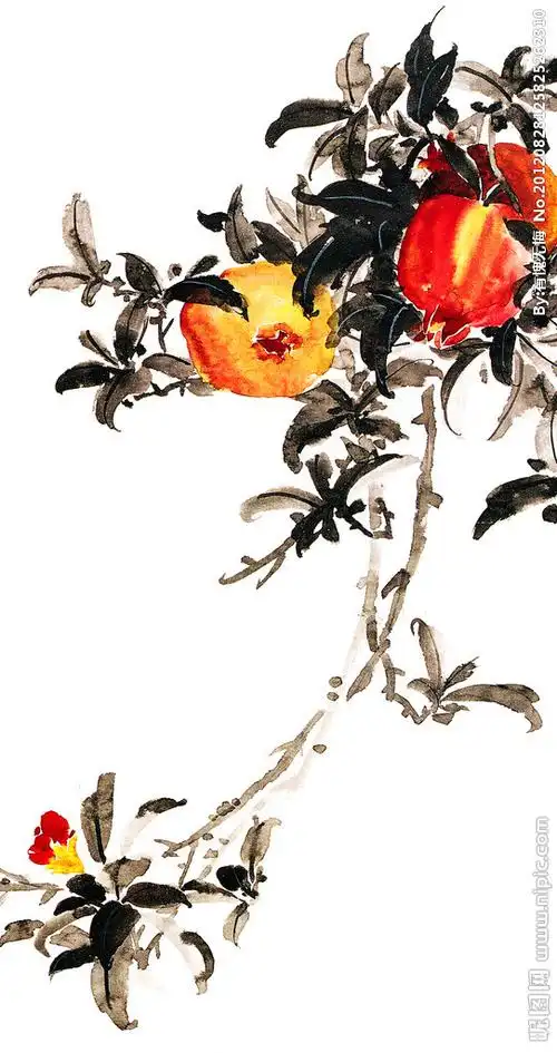 石榴 石榴国画