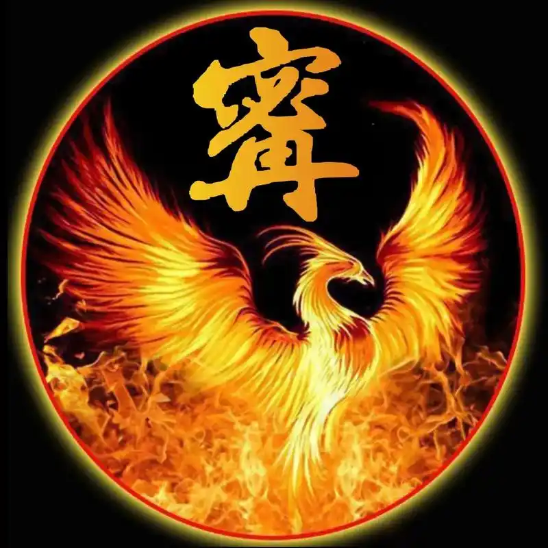 我制作的甯氏专属头像,好不好看你说了算 #甯氏 #宁氏  - 抖音