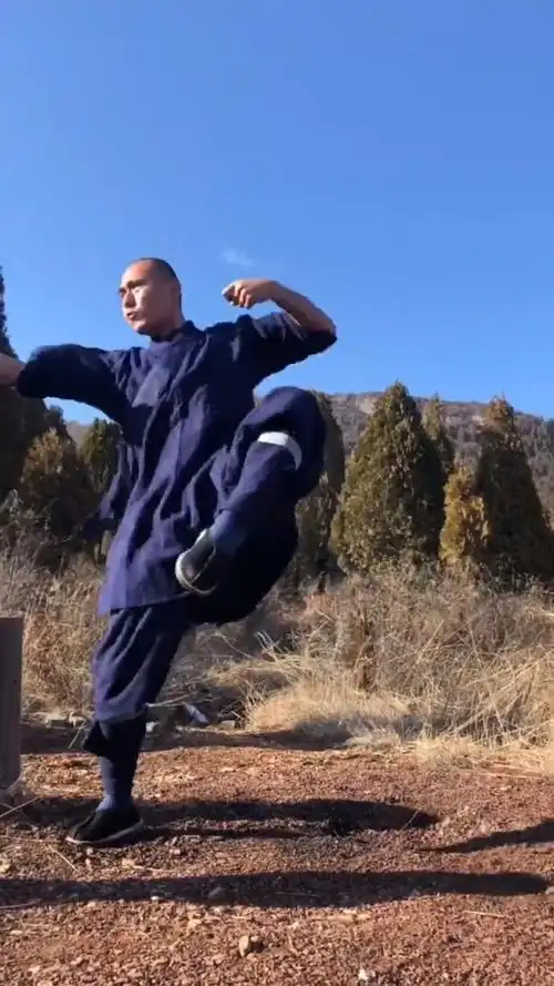 少林功夫#日常练功,这套醉拳大家还满意吗