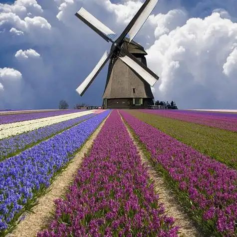 风车花园_微信头像风景图片_扣扣居