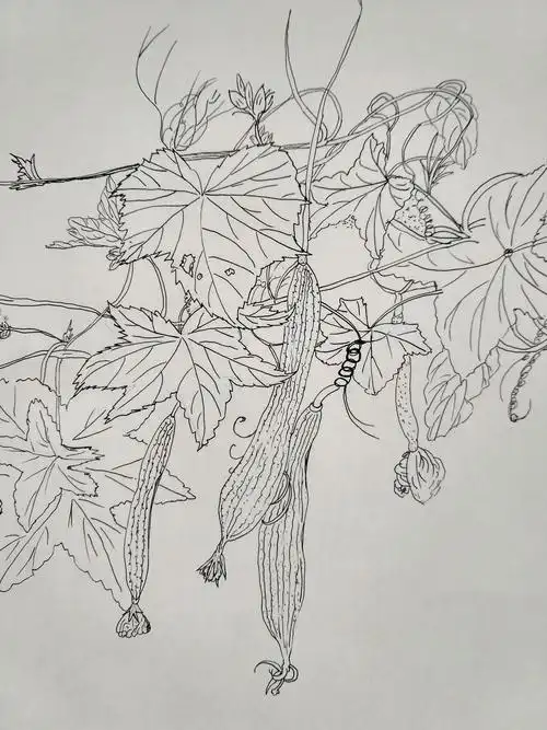 梦里繁花白描部分上色