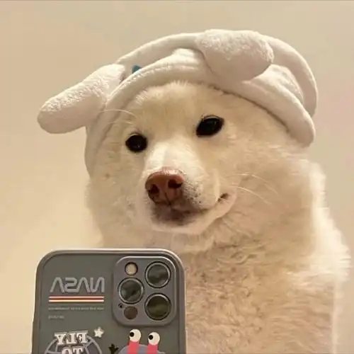 头像丨男生爱情不需要语言