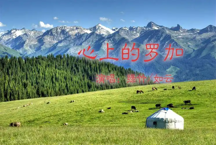 心上的罗加对唱