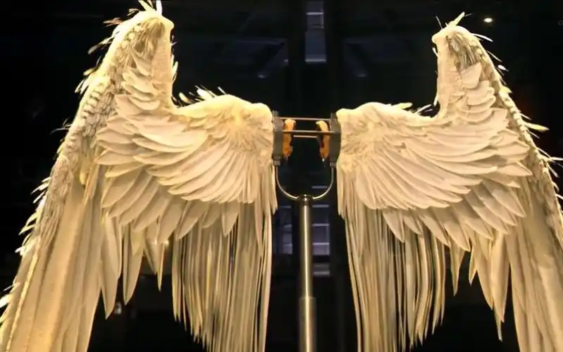 [油管搬运]美剧路西法lucifer中的天使翅膀出场锦集