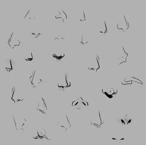 鼻子 手绘 马克 参考