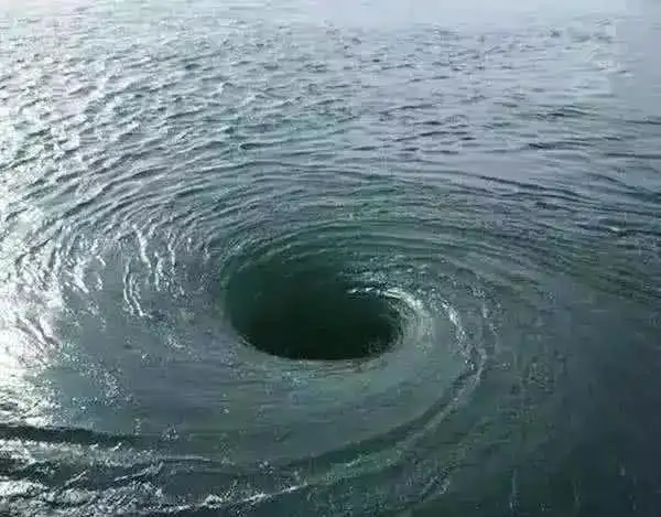 5张图测试你有无深海恐惧症,第3张看久了会上瘾,胆小慎入!