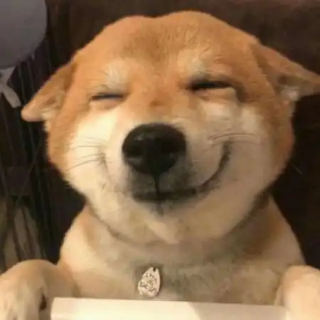 头像男动物可爱图片