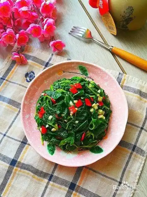 马齿苋怎么吃才好吃,马齿苋怎么吃才好吃视频