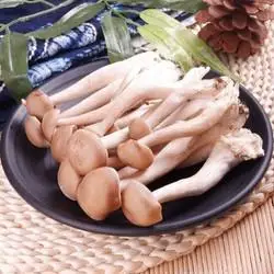 【省64元】玉翔蔬菜_玉翔 新鲜鹿茸菇 500g多少钱-什么值得买