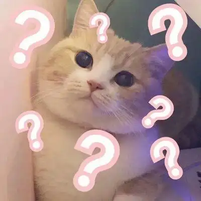 萌宠猫星人好奇问号呆萌可爱gif动图_动态图_表情包下载_soogif