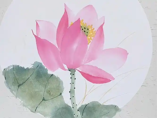 国画小写意:荷花