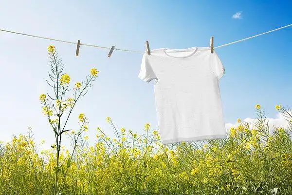 t恤,晾衣服