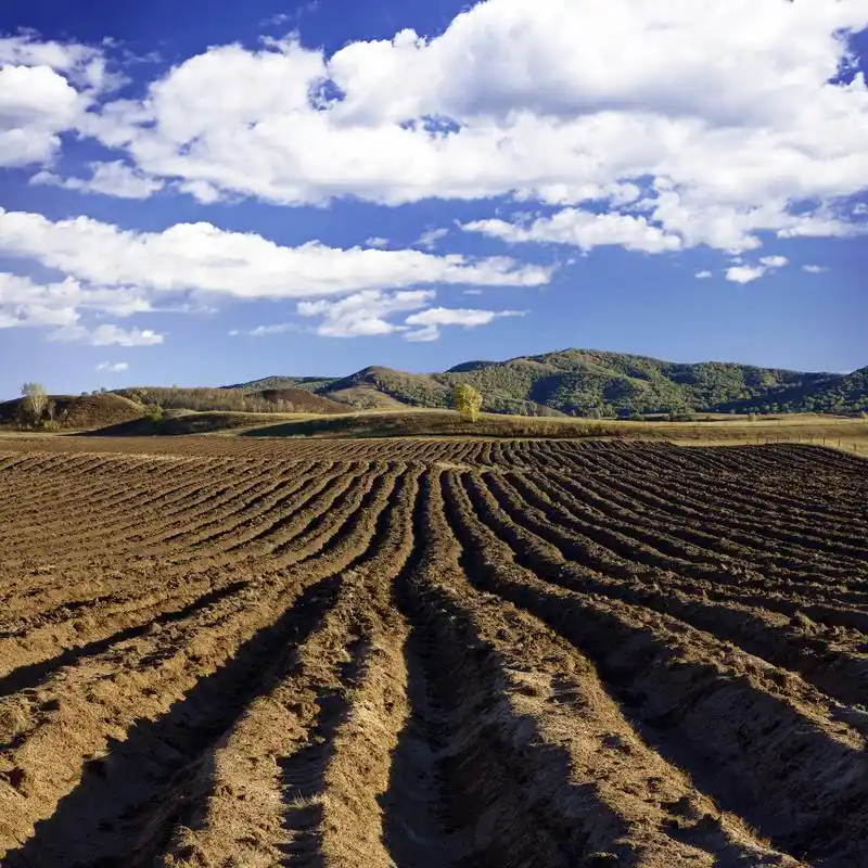 河北省出台净土保卫战三年行动计划