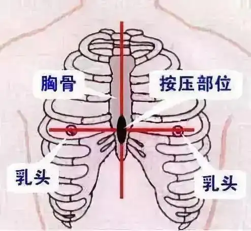男人的胸究竟有什么用
