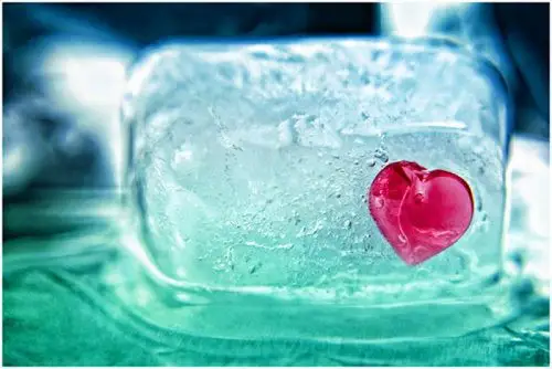 被冰包住的火热的心