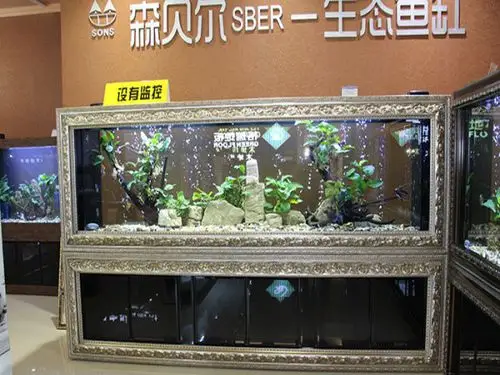 生态鱼缸使用注意事项-山东森贝尔水族景观制作有限公司