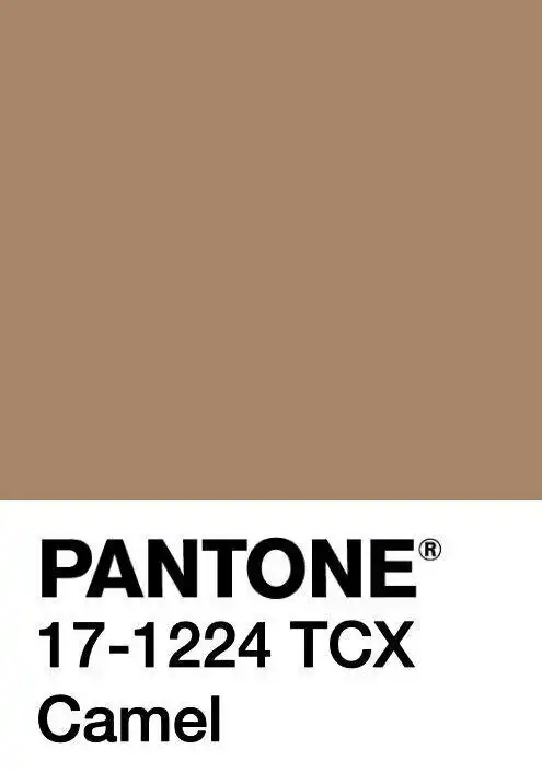 永不过时的驼色,让你的整个秋冬优雅得不动声色