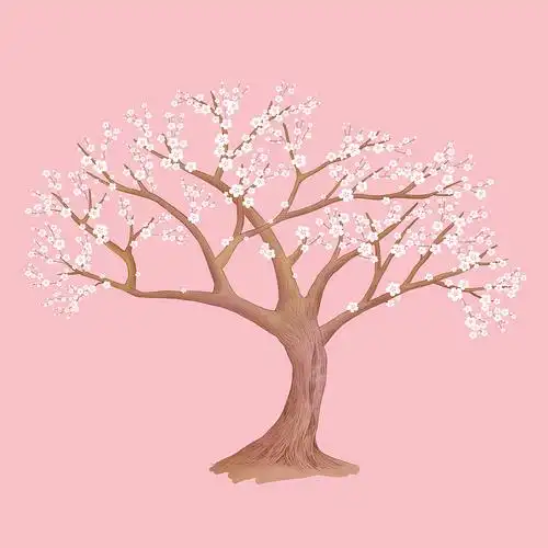 国风手绘樱花树插画图片