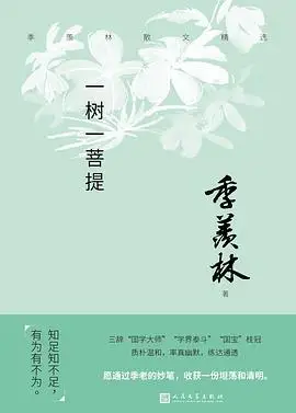 一树一菩提