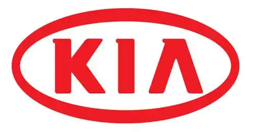 起亚公司赞助2008年欧洲杯建立相关网页