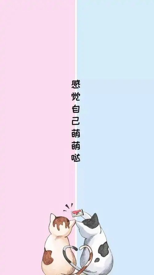 情侣系聊天隔离区背景图安排