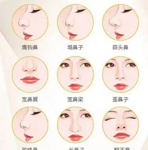 心理学家:你的鼻型,或决定你的性格特质,这种鼻型的人普遍自私