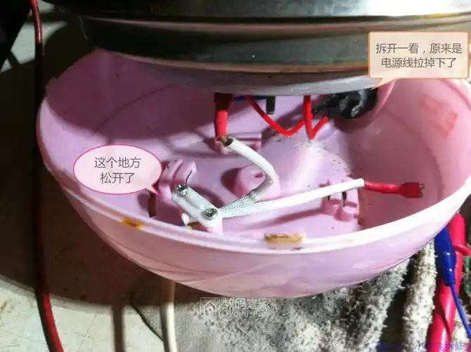 拆修一个pa-60蒸蛋器(煮蛋器) - 拆机乐园 数码之家