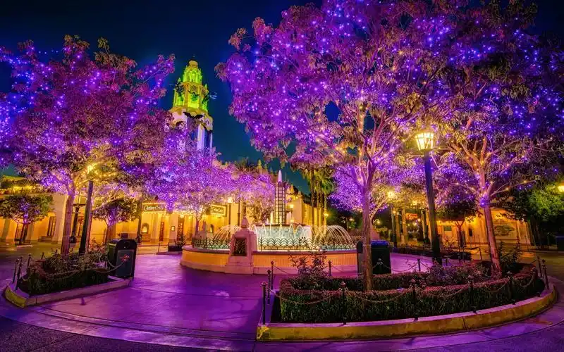 壁纸 城市,公园,夜晚,美丽的节日灯