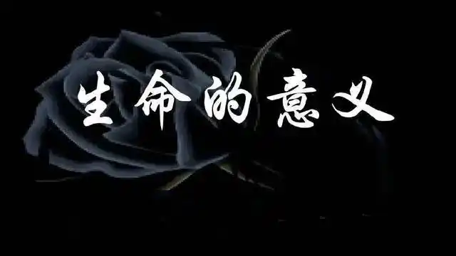 研究哲学究竟有什么意义